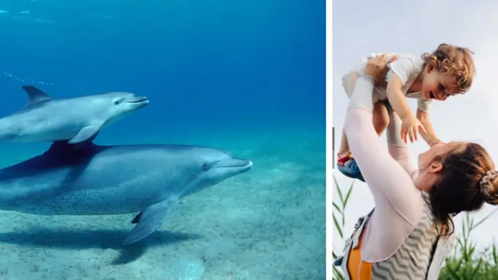 Madre hijo humanos y delfines